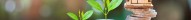 Acheter cash son LMNP