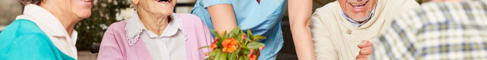 Les résidences médicalisées (EHPAD)
