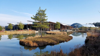 Investir en LMNP dans la 2ème meilleure destination au MONDE : Le domaine Center Parcs Les Trois Forêts 