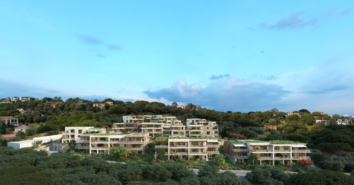 Calvi (2B)