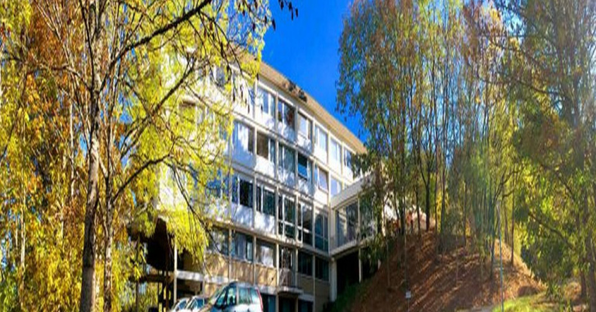 Riom-ès-Montagnes (15)