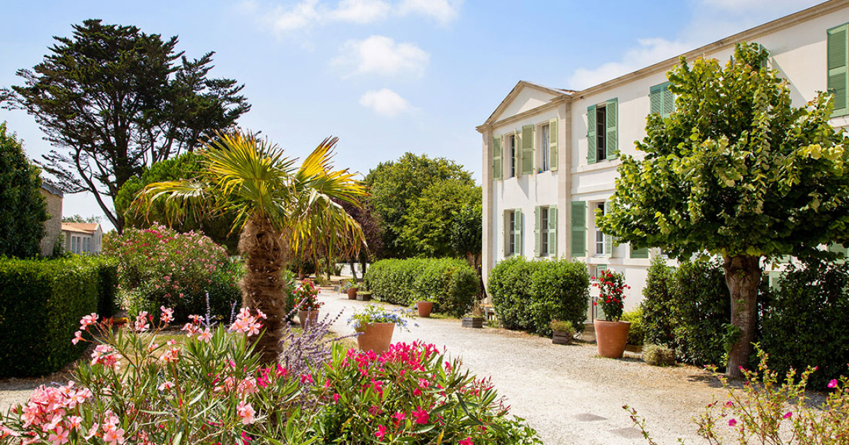Saint-Martin-de-Ré (17)