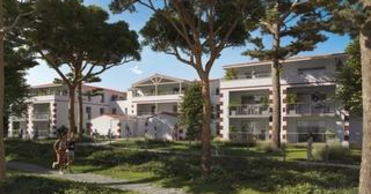 Saint-Trojan-les-Bains (17)