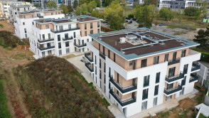 Les Clayes-sous-Bois (78)