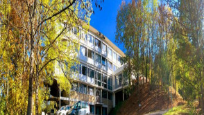 Riom-ès-Montagnes (15)