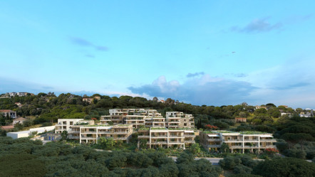 Calvi (2B)