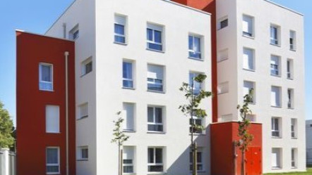 Dijon (21)