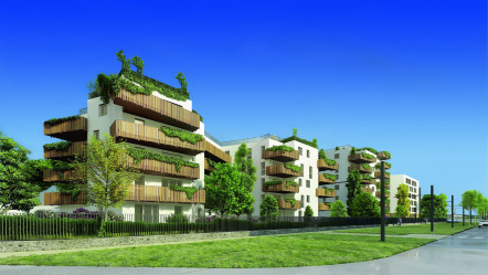 Montpellier (34)