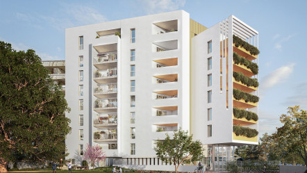 Montpellier (34)
