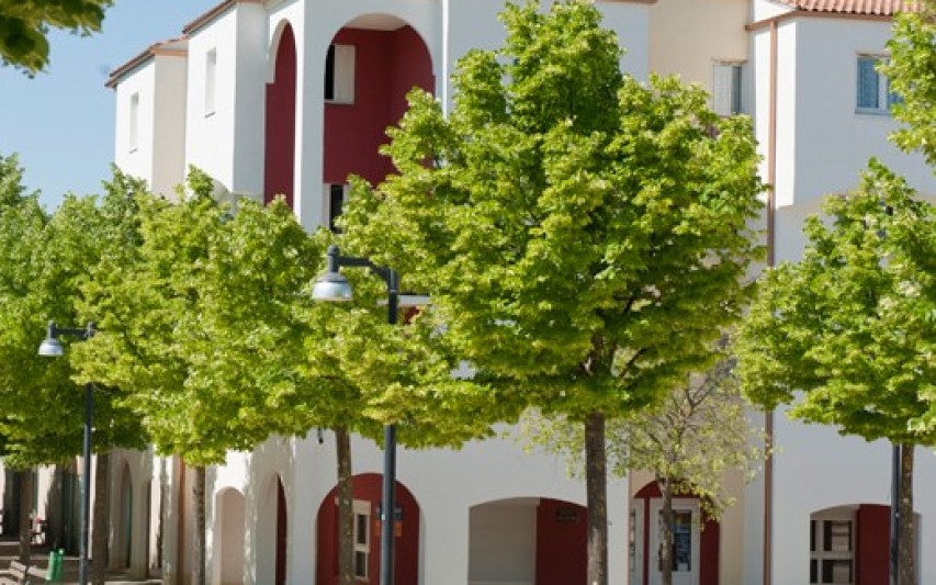 Saint-Mathieu-de-Tréviers (34) (34)